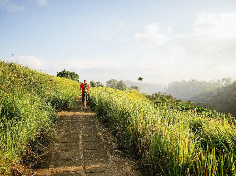 campuhan ridge hiking bali