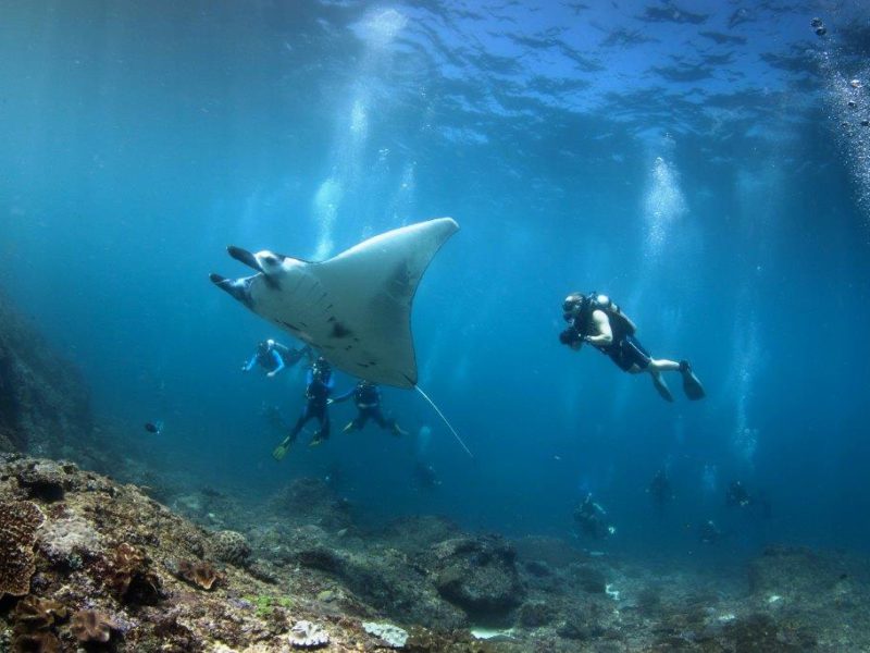 15 Tempat Terbaik untuk Snorkeling dan Diving di Bali