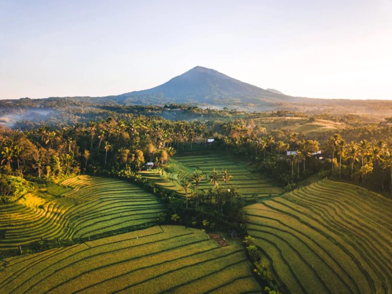 7 Eyepleasing Rice Terraces in Bali: Looks Amazing All Year!