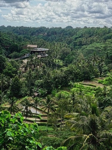 Where to Stay in Bali? Perfect Places for Each Occasion | Flokq Blog