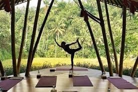 Yoga at Ubud 