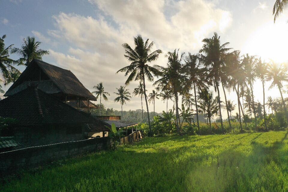 view of pondok diana jasri in east bali