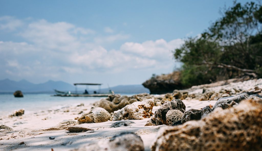 mengunjungi pulau menjangan saat ke taman nasional bali barat