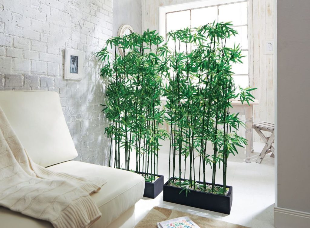 Ornamental Plants Room Divider