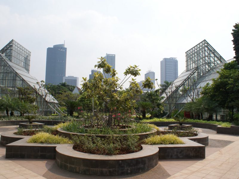 List of Parks in Jakarta: Cheap Entertainment, Suitable for Healing!